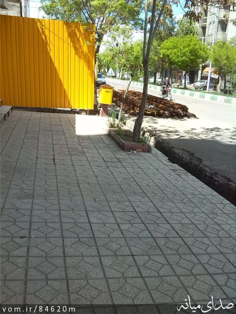 تصویر مرتضی رشیدی