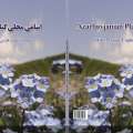 تصویر عادل رمضانی