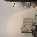 تصویر داود قره  داغی