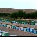 تصویر کامران قره داغی