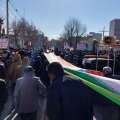 تصویر طاهر نائبی