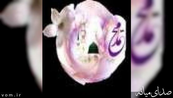 کسب رتبه ممتاز توسط مربی کانون میانه
