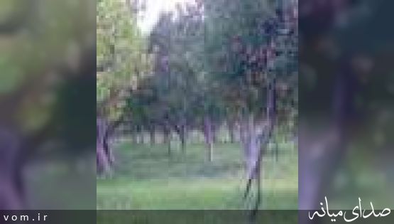 750 هکتار از باغات ميانه به شيوه هاي نوين آبياري مي شود