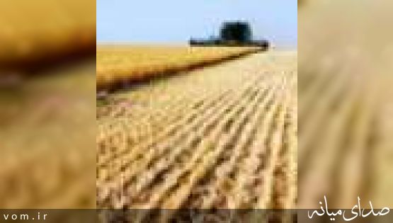 واردات و صادرات محصولات کشاورزی به وزارت جهاد کشاورزی واگذار شود