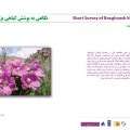 نگاهی به فعالیت های موسسه حفظ محیط زیست بزقوش