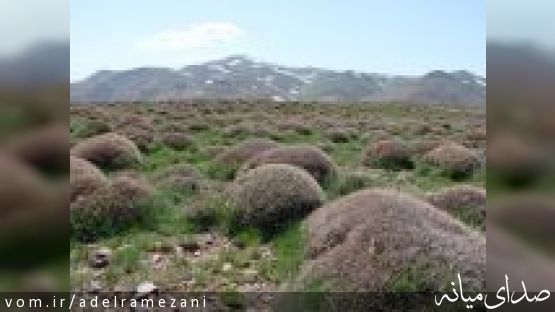 تخریب مناطق کوهستانی را متوقف کنید!! + (تصویر)