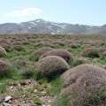 تخریب مناطق کوهستانی را متوقف کنید!! + (تصویر)