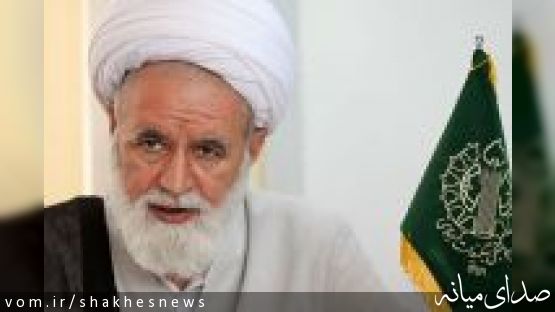 عدم ورود شورای نگهبان به دعواهای سیاسی/ برای حفظ وحدت پیرو فرمایشات رهبری هستیم