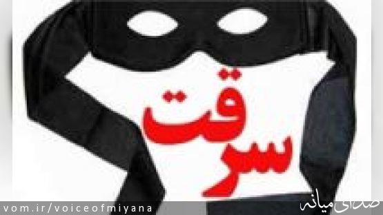 دستگیری سارقین و کشف 22 فقره سرقت و آتش‌سوزی  13 باغ روستای ابابیل شهرستان میانه