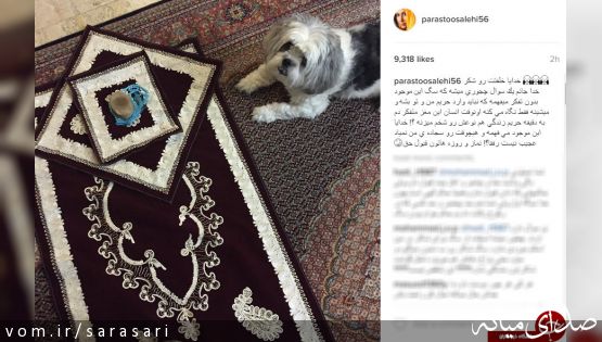 واکنش ها به انتشار تصویر سگ پرستو صالحی کنار سجاده نمازش+تصاویر