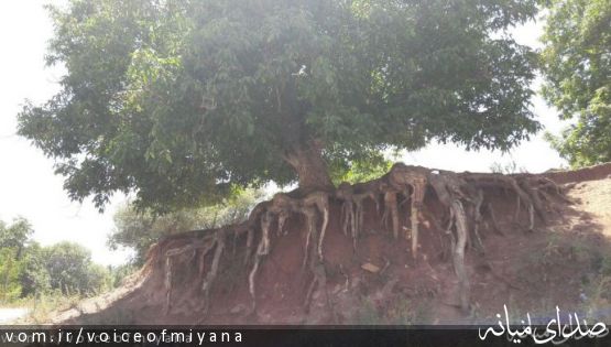 تصاویری از طبیعت زیبای روستای نقاب میانه