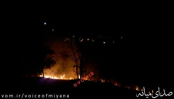 تصاویر آتش سوزی بزرگ در پارک ‌جنگلی میانه