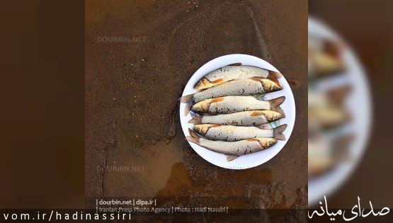 گزارش تصویری ماهی گیری در روز بارانی