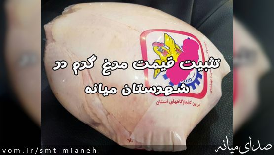 قیمت مرغ گرم در مورخ 1398/02/15 در شهرستان میانه