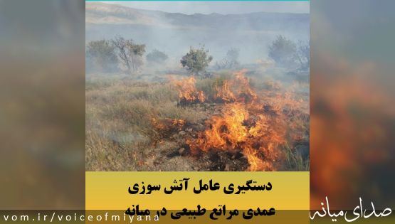 دستگیری عامل آتش سوزی عمدی مراتع طبیعی در میانه