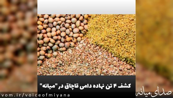 کشف ۴ تن نهاده دامی قاچاق در "میانه"