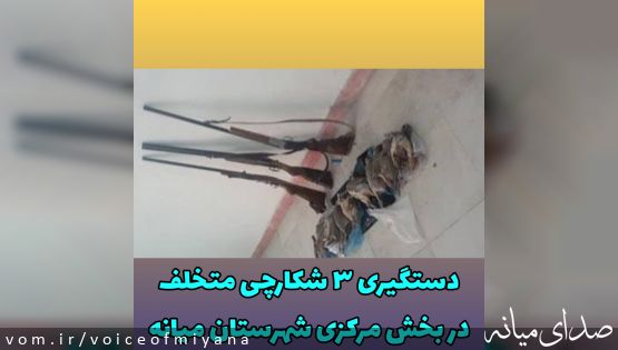 دستگیری ۳ شکارچی متخلف در بخش مرکزی میانه