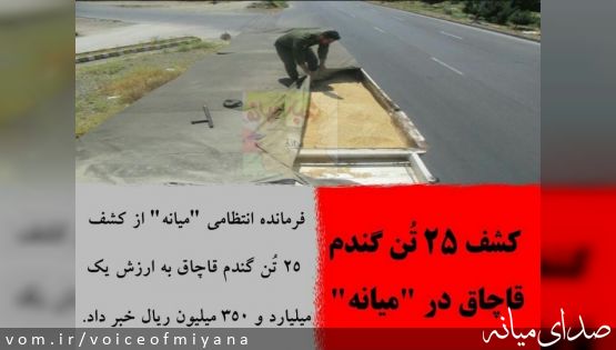 کشف ۲۵ تن گندم قاچاق در "میانه"