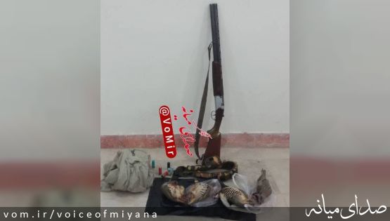 شکارچیان متخلف در دام قانون میانه