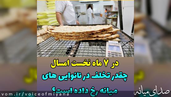 در ۷ ماه نخست امسال، نانوایی های میانه چقدر تخلف کردند؟