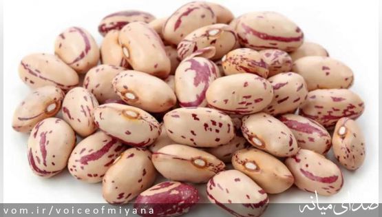 لوبیا هم تنظیم بازاری شد