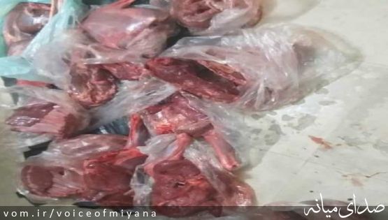 کشف لاشه سه گونه علفخوار توسط محیط زیست میانه و دستگیری شکارچیان