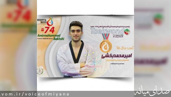 مدال طلای امیرمحمد بخشی در مسابقات تکواندو کشورهای اسلامی