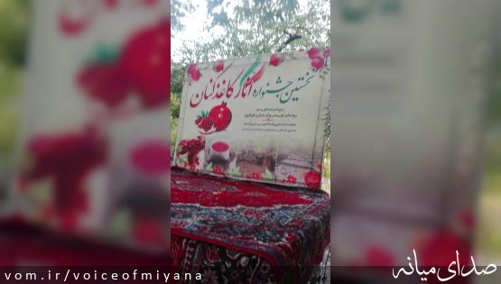 جشنواره انار در روستای "گوو" برگزار شد +تصاویر