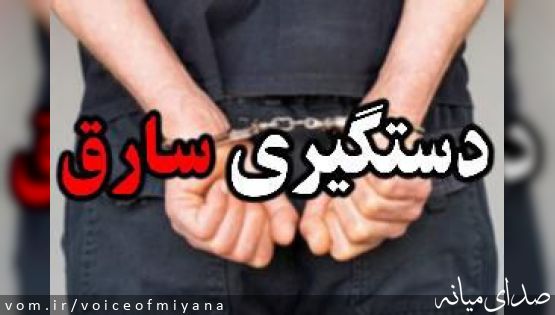 دستبند پلیس "میانه" بر دستان سارق سیم کابل