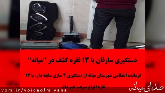 دستگیری سارقان با 13 فقره کشف در "میانه"