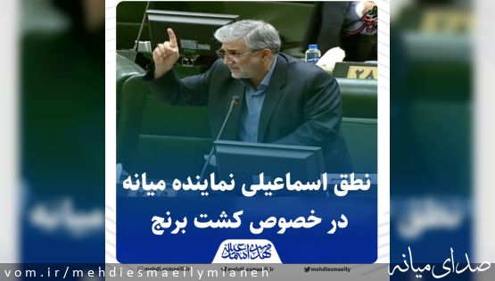 نطق مهدی اسماعیلی نماینده مردم میانه در خصوص کشت برنج