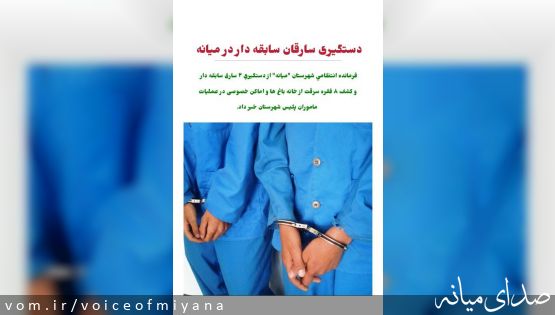 دستگیری سارقان سابقه دار در میانه