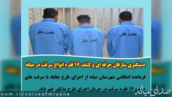 دستگيري سارقان حرفه اي و کشف ۱۶ فقره انواع سرقت در ميانه