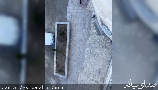 جوابیه دانشگاه آزاد میانه به صدای میانه در خصوص قطع درختان توت