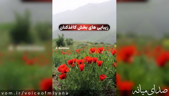 زیبایی های طبیعت کاغذکنان میانه