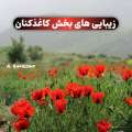 زیبایی های طبیعت کاغذکنان میانه