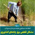انتقاد تند اسماعیلی نماینده مردم از قطعی برق؛ مسئولان میخواهند چه بلایی سر کشاورزان بیاورند