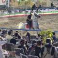 برگزاری اولین جشنواره کشوری شو سواره «جام سبلان» در میانه +تصاویر