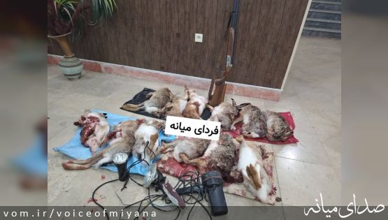 دستگیری شکارچیان غیرمجاز در صومعه ترکمانچای