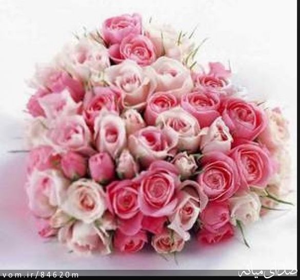 تصویر مرتضی رشیدی