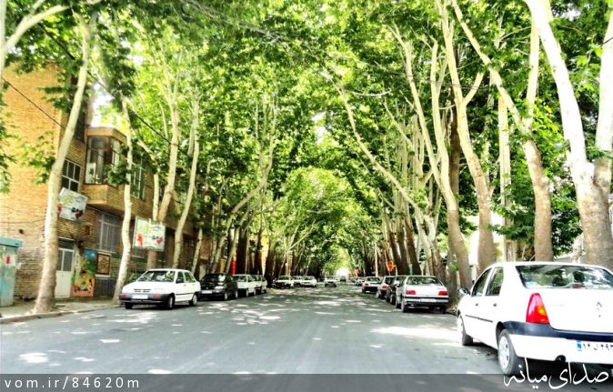 تصویر مرتضی رشیدی