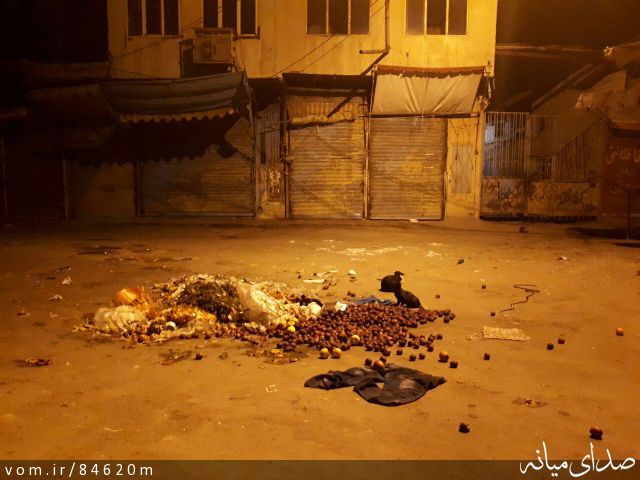 تصویر مرتضی رشیدی