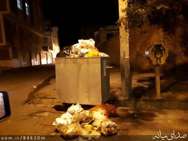 تصویر مرتضی رشیدی