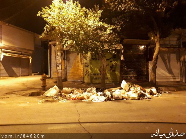 تصویر مرتضی رشیدی