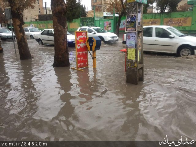 تصویر مرتضی رشیدی