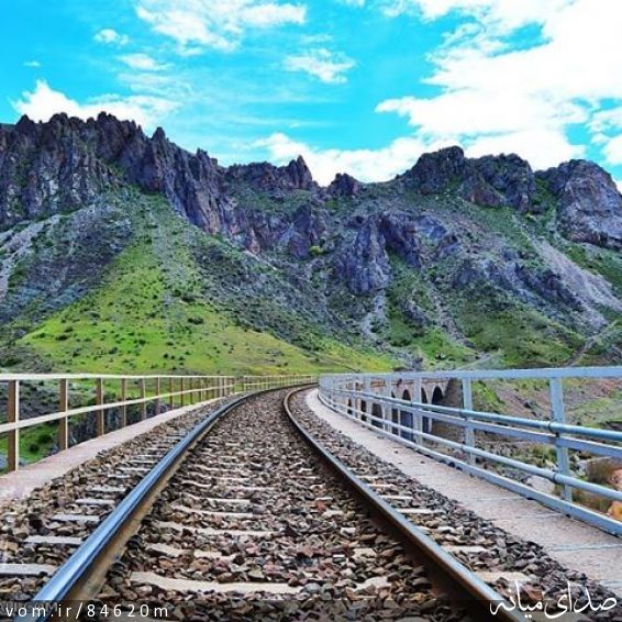 تصویر مرتضی رشیدی