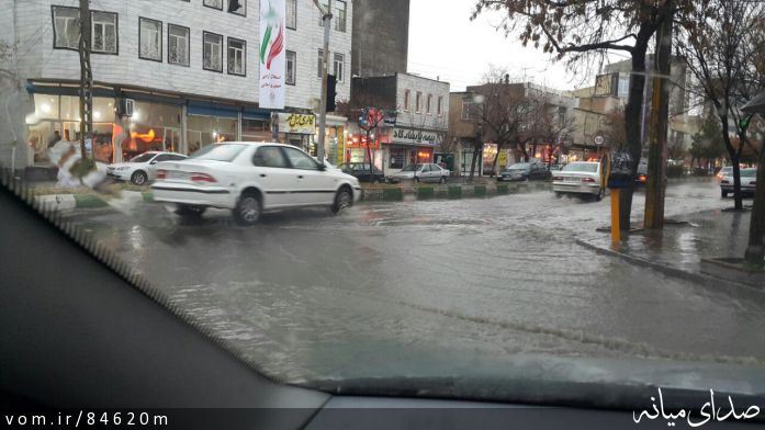 تصویر مرتضی رشیدی