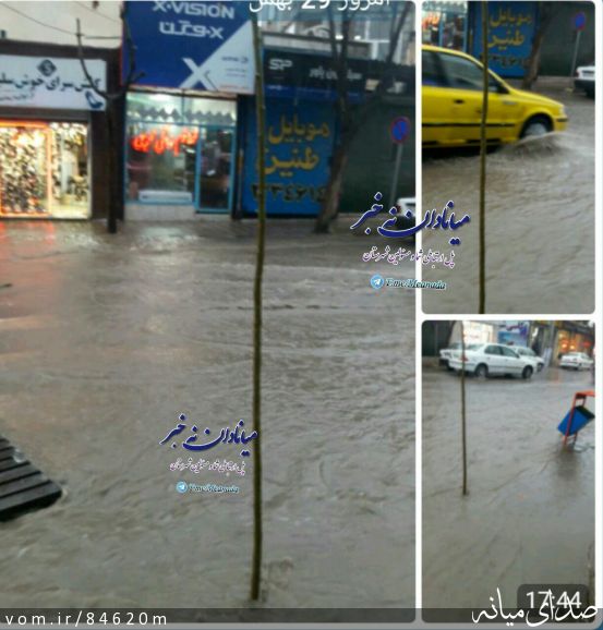 تصویر مرتضی رشیدی