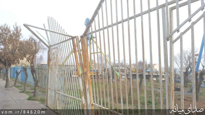 تصویر مرتضی رشیدی