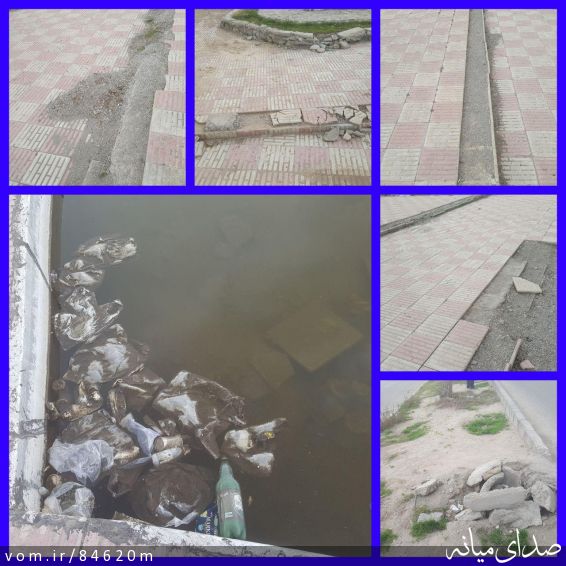 تصویر مرتضی رشیدی